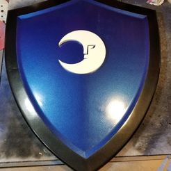 Shield_Finished.jpg Download free STL file A common shield • 3D printer model, MidknightGiant