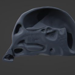 N2.png STL-Datei Anatomie der Nase・Vorlage für 3D-Druck zum herunterladen