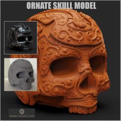 www.calum5.com Ornate detailed Skull