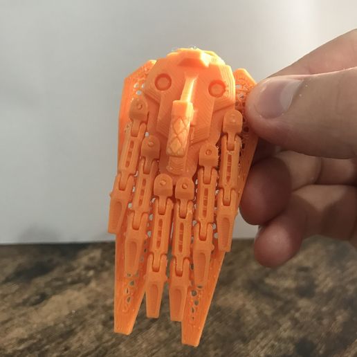 🛡️ shield bug・Free 3D File for 3D printing・Cults