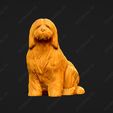 1328-Bearded_Collie_Pose_05.jpg Bearded Collie Dog 3D Print Model Pose 05