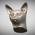 Zrzut-ekranu-2025-06-14-113436.png Abyssinian cat head for 3D printing