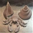 print-view.jpg Hermit crab (flexi, cute, semi realistic)