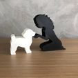 WhatsApp-Image-2022-12-27-at-14.29.41.jpeg Girl and her poodle(wavy hair) for 3D printer or laser cut