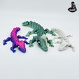 IMG_25525.jpg Triple Lizard Dragon - Cute - Zombie -Skeleton - Articulated - Print in Place - Flexi - No Supports