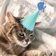 CAT-PARTY-HAT-PLASTIC-3D-PRINT-by-qbed-2.jpg FISHY FISH CAT PARTY HAT