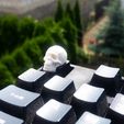 keycap scull 3d printing 3.jpg Skull Keycap STL for Cherry MX 3D print model