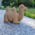 35c571fa-9a33-4c30-8d47-7b9675680f88.jpg Chill Bactrian Camel – Cute Desert Buddy