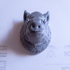 20220215_133911.jpg STL file Wildboar Head・3D print design to download