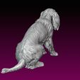 13.jpg Dog statue Spaniel