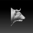 buuu2.jpg Bull head 3d model for 3d print