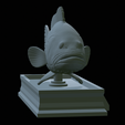 Dusky-grouper-29.png fish dusky grouper / Epinephelus marginatus statue detailed texture for 3d printing