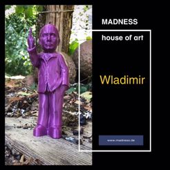 MADNESS house of art mae Wladimir