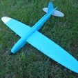 P1030579.JPG Capra R20 - RC Racer / Glider