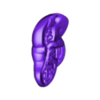 liver.stl 3D Spleen, Pancreas and Duodenum Anatomy Model