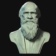 11.jpg Charles Darwin portrait sculpture 3D print model