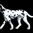 0_00025.jpg DOG - DOWNLOAD Dalmatian 3d model - Animated for blender-fbx- Unity - Maya - Unreal- C4d - 3ds Max - CANINE PET GUARDIAN WOLF HOUSE HOME GARDEN POLICE  3D printing DOG DOG