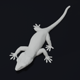 14.png Gargoyle Gecko Pet Reptile