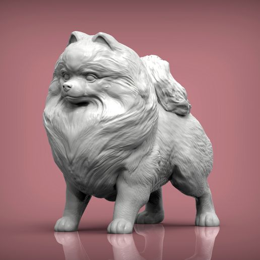 Pomeranian1.jpg Archivo 3D Modelo de impresión 3D de pomerania・Objeto imprimible en 3D para descargar, akuzmenko