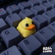 Untitled-471.jpg Duck Keycap
