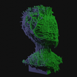 vid0233.png Alien Insectoid Bust