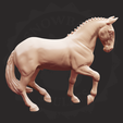 lusi_2_clay_logo.png Lusitano Horse Model