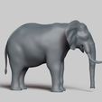 R04.jpg elephant pose 01