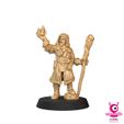 MINI_human.jpg Human Wizard from Wizards & Beasts Project for Dungeons & Dragons RPG Miniatures