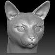 3.jpg Siamese Cat head for 3D printing