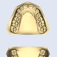 3.jpg dental model nice