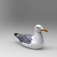 seagul1.jpg 1/32 Scale Swimming Seagull - Realistic Coastal Bird Figure for Slot Car Diorama, Beach Scene & Miniature Display