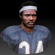 WP_0018_Layer 2.jpg Walter Payton NFL Star textured bust