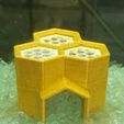 IMG20220506150718.jpg Mini Honeycomb Cave for Nano tanks