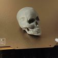 IMG_20231018_221229~2.jpg Skull Sculpt