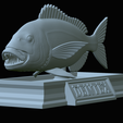 Dentex-mouth-statue-47.png fish Common dentex / dentex dentex open mouth statue detailed texture for 3d printing