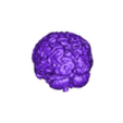 My MRI Brain.stl MRI Scanned Human Brain model