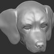 17.jpg Puppy of Pointer dog head for 3D printing
