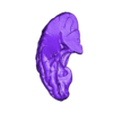STL - brainTemporal_R.stl 3D Model of Human Brain
