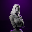 IMG_1567.png Bust of Tali Zorah