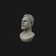 09.jpg Freddie Mercury 3D printable portrait