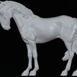 IMG_5080.png Mule,warmblood, and Roman nose horses