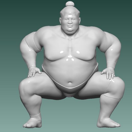 SUMO 3D model