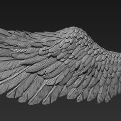 wing.jpg angel wing