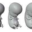 6_Weeks_Matcap_01.png 3D file 6 Weeks Human embryonic (baby stages)・3D print model to download