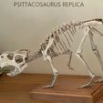 Psittacosaurus-3d-Print.jpg Psittacosaurus Dinosaur v1