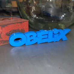 DSC_0360.JPG LOGO OBELIX