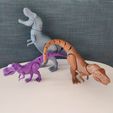 IMG_20230914_175903.jpg T-Rex Flexi