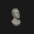 15.jpg Freddie Mercury 3D printable portrait