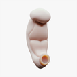 3_Weeks_Tumbnail.png 3D file 3 Weeks Human embryonic (baby stages)・3D printer design to download
