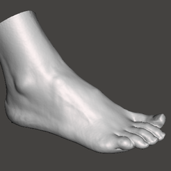1.png Foot Scan Woman 31 years old without sock
